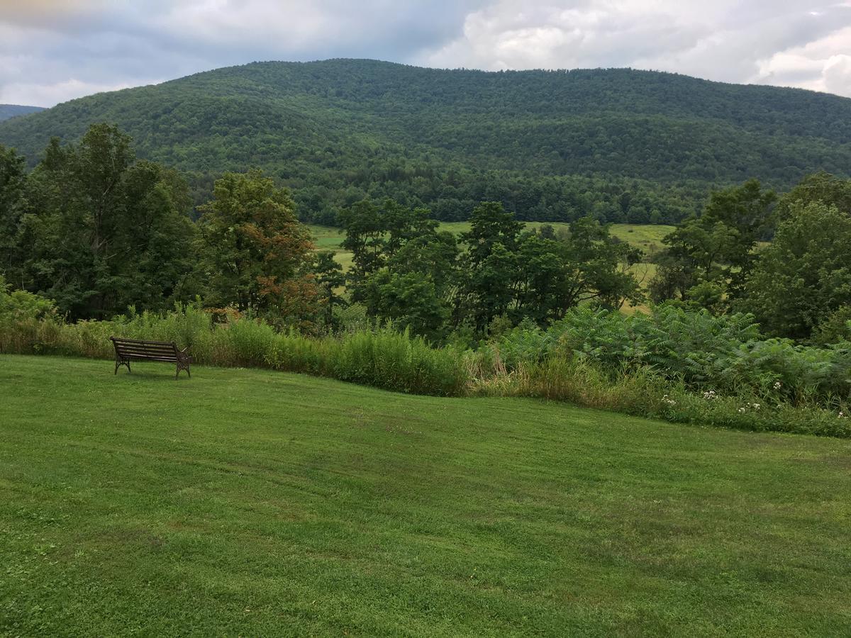 Cave Mountain Motel Windham Εξωτερικό φωτογραφία